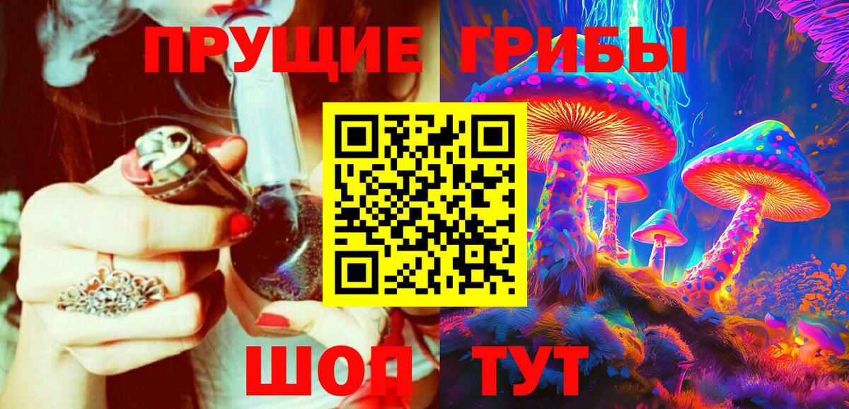 Псилоцибиновые грибы Psilocybe Шарыпово